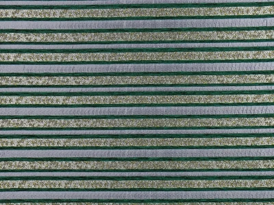 ANNA 14-Y зелёная полоса