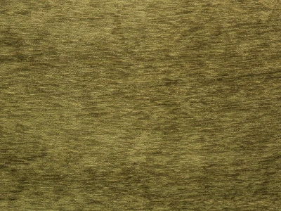 Палома зелёная координат 05