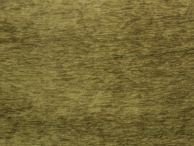 Палома зелёная координат 05 