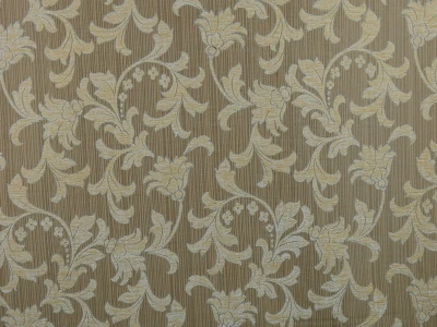 CARIZMA SZ-397/55-беж