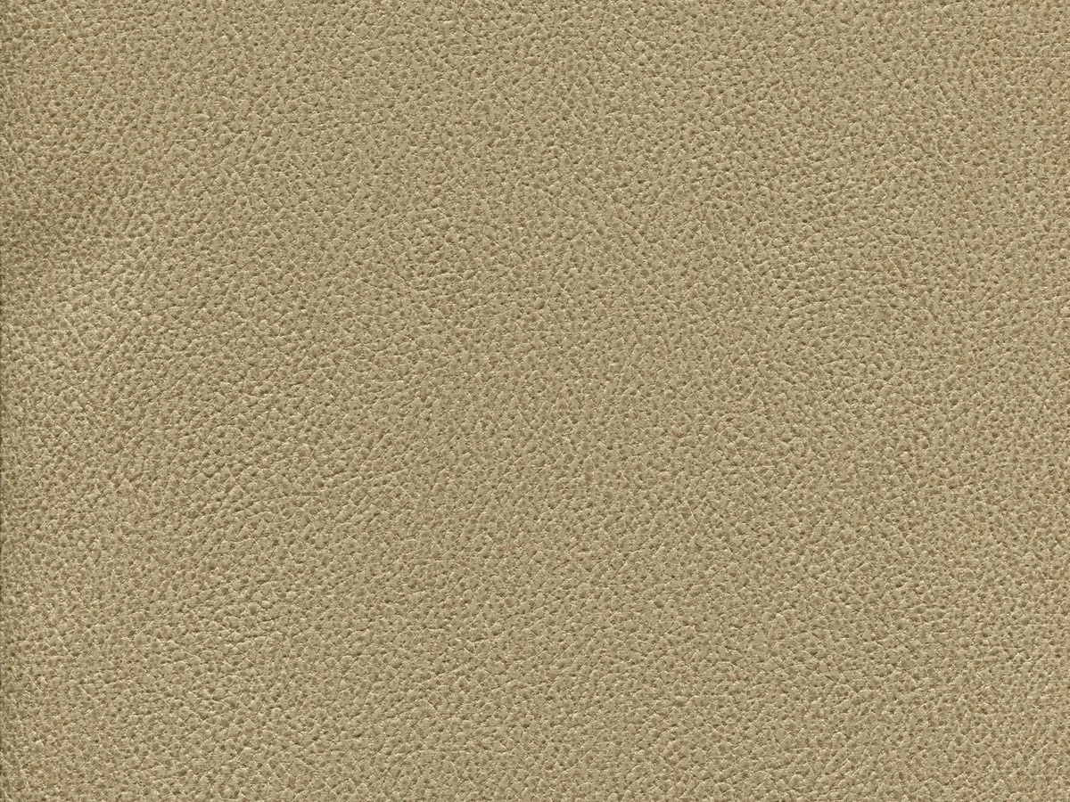 Gant (Гант) 04 Бежевий 