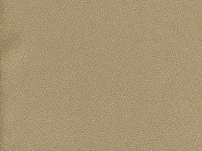 Gant (Гант)  04 Бежевий