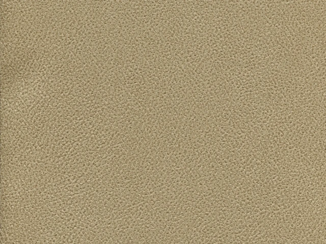 Gant (Гант) 04 Бежевий 