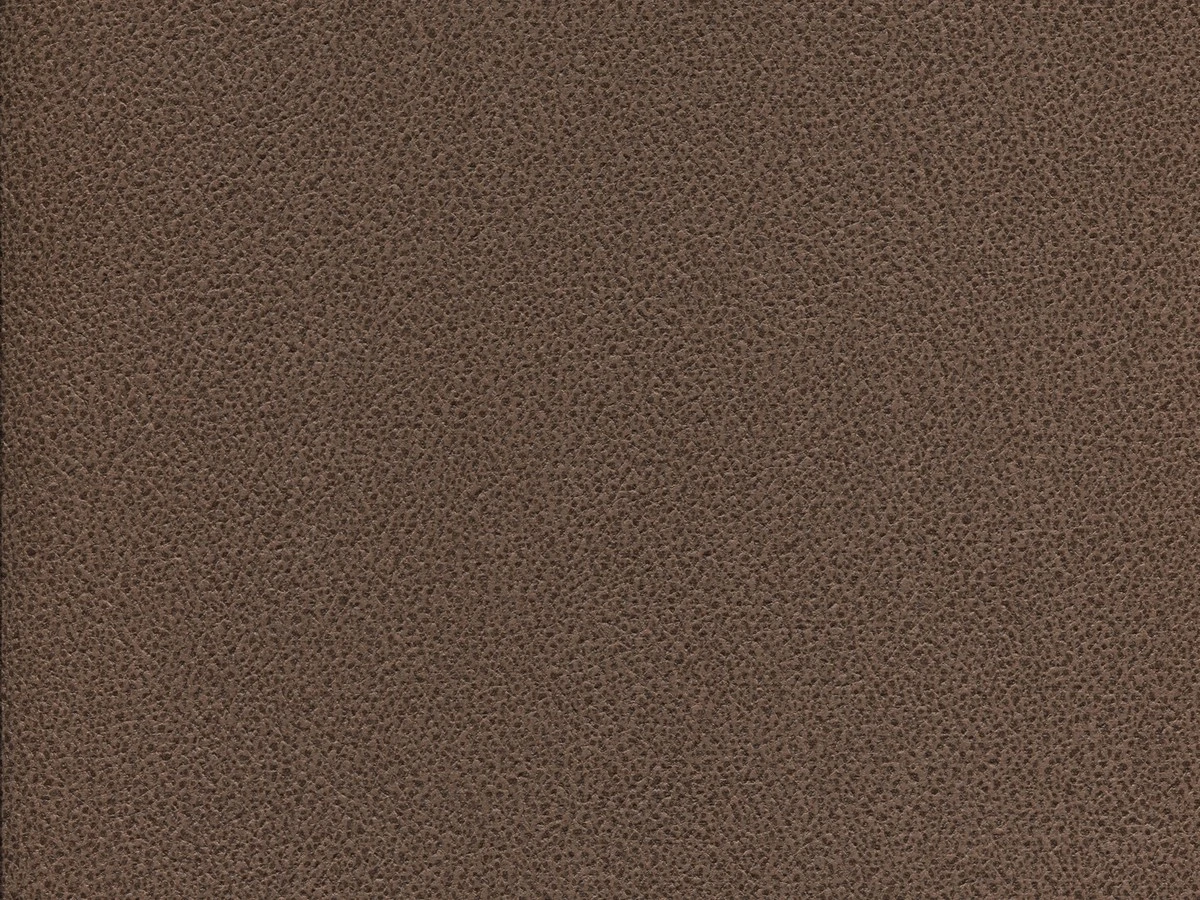 Gant (Гант) 05 Шоколадний 