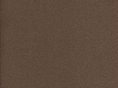 Gant (Гант)  05 Шоколадний