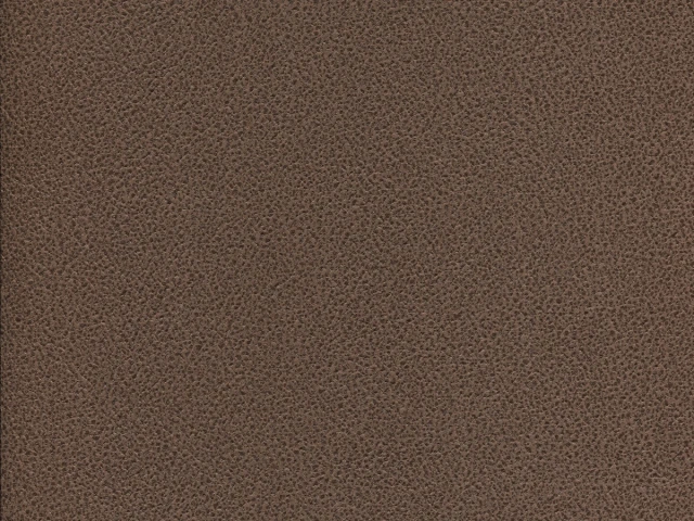 Gant (Гант) 05 Шоколадний 