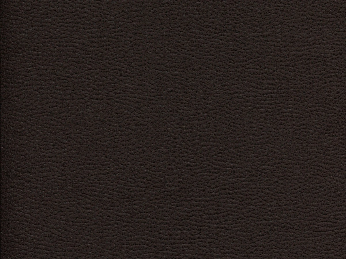 Gant (Гант) 06 Темно-коричневий 