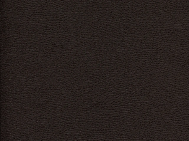 Gant (Гант) 06 Темно-коричневий 