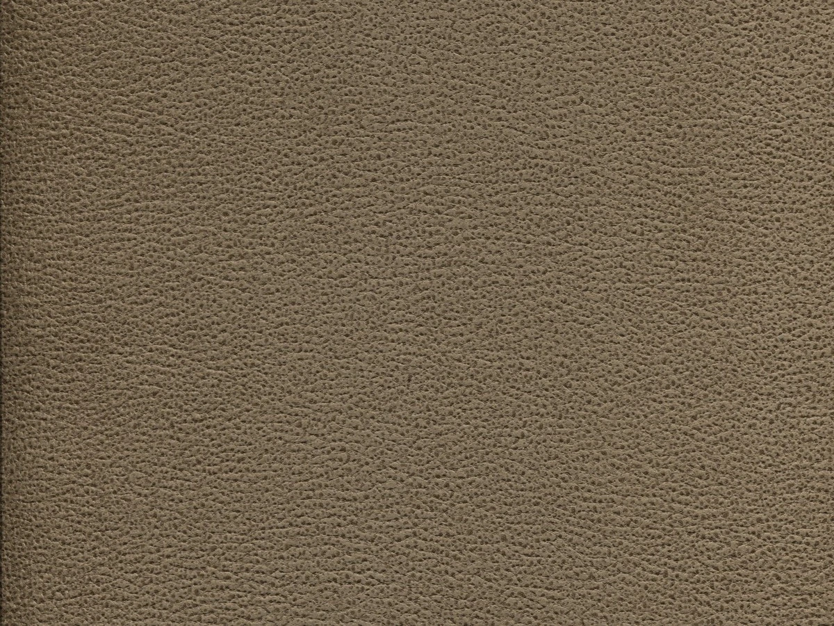 Gant (Гант) 10 Світло-коричневий 