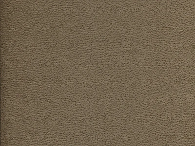 Gant (Гант)  10 Світло-коричневий