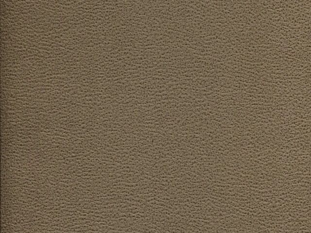 Gant (Гант) 10 Світло-коричневий 