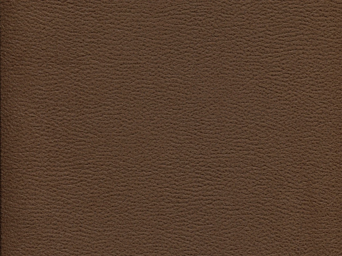 Gant (Гант) 12 Коричневий 