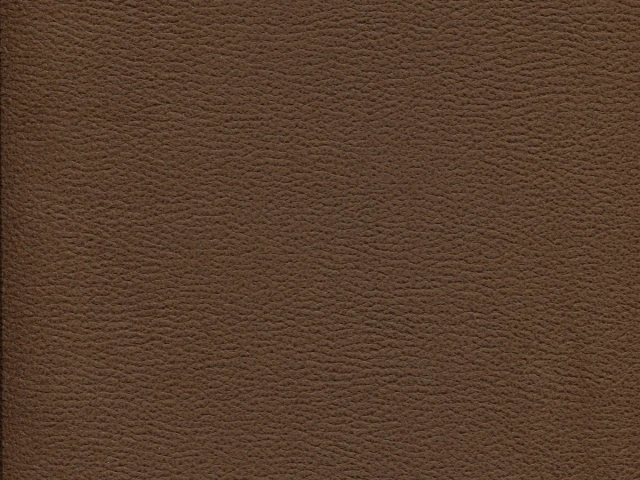 Gant (Гант) 12 Коричневий 