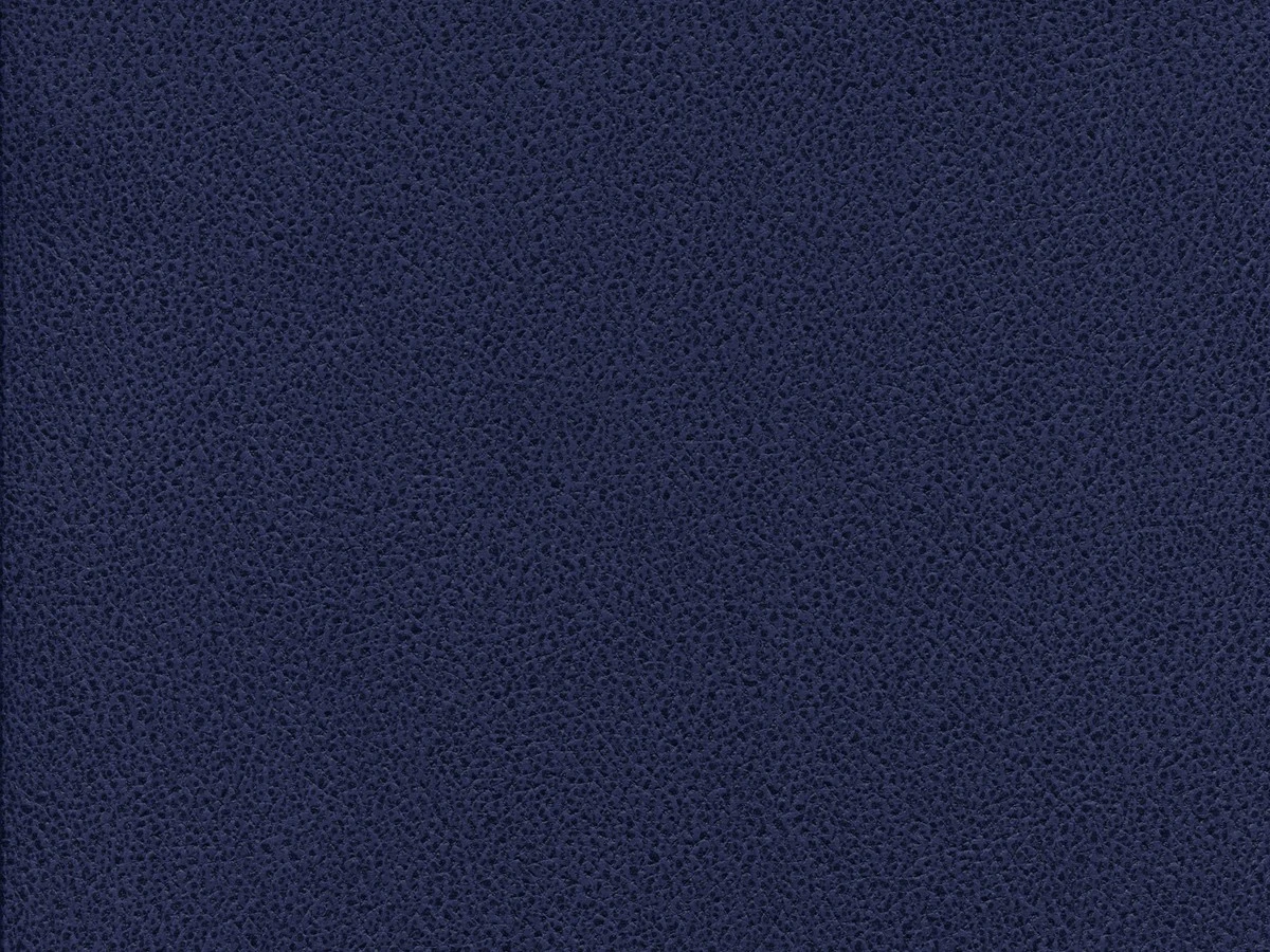 Gant (Гант) 17 Темно-синій 