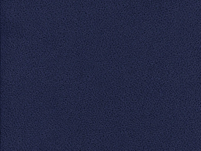 Gant (Гант) 17 Темно-синій 