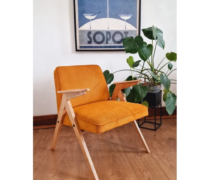 Крісло в ретро-стилі з дерев'яними підлокітниками